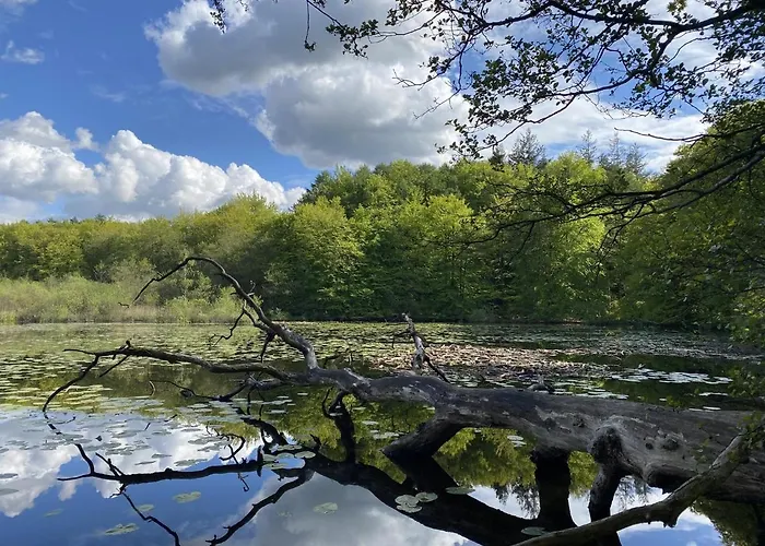 Andres Appartamento Wees